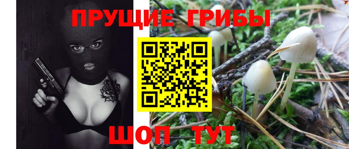 Галлюциногенные грибы GOLDEN TEACHER  Вход с VPN  Сибай  Псилоцибиновые грибы Psilocybe 